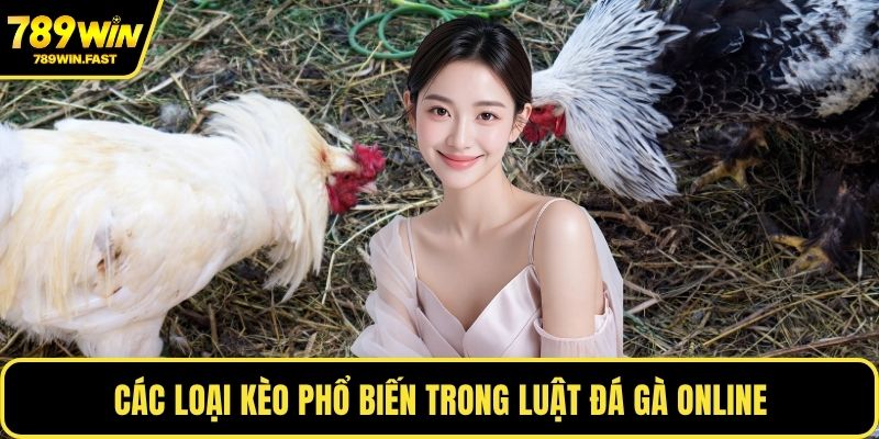 Các loại kèo phổ biến trong luật đá gà online