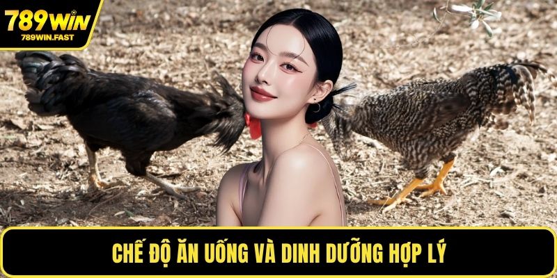 Cách Nuôi Gà Đá Chân Mạnh - Giữ Phong Độ Ổn Định Nhất 2 Chế độ ăn uống và dinh dưỡng hợp lý
