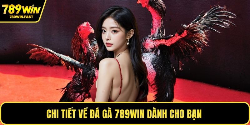 Chi tiết về đá gà 789WIN dành cho bạn