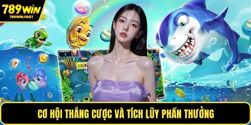 Cơ hội thắng cược và tích lũy phần thưởng