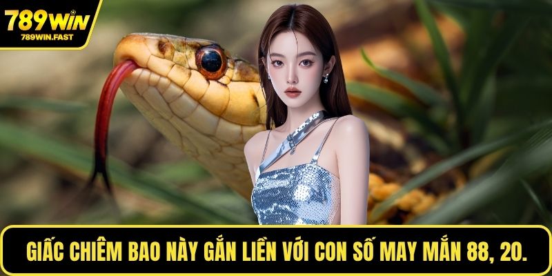 Giấc chiêm bao này gắn liền với con số may mắn 88, 20.