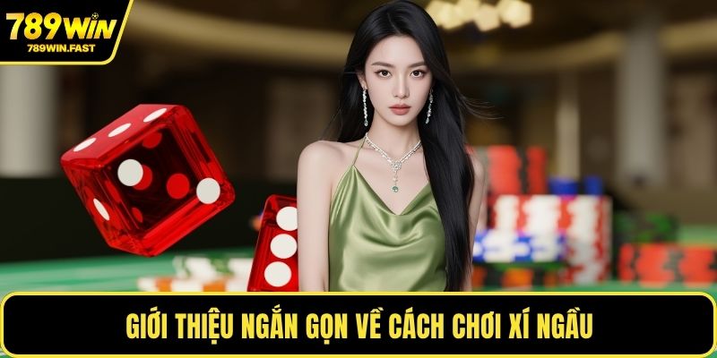 Cách Chơi Xí Ngầu - Tăng Cơ Hội Thắng Trong Mọi Ván 1 Giới thiệu ngắn gọn về cách chơi xí ngầu
