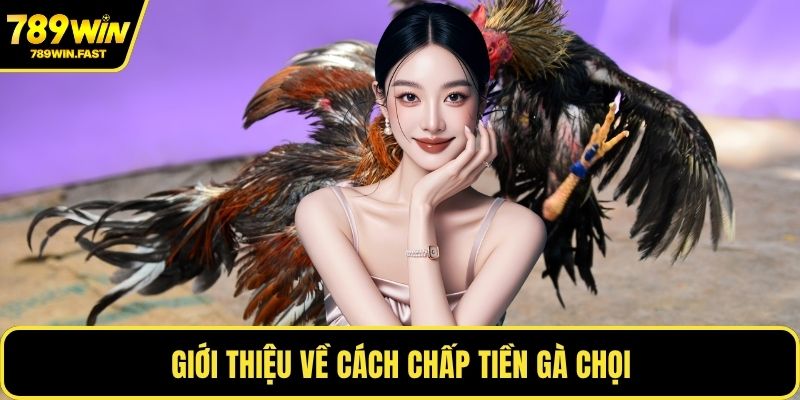 Giới thiệu về cách chấp tiền gà chọi