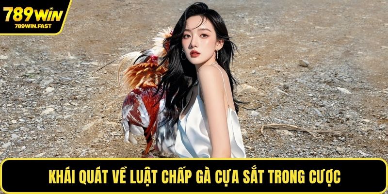 Khái quát về luật chấp gà cựa sắt trong cược