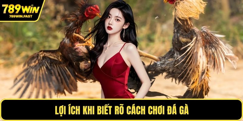 Lợi ích khi biết rõ cách chơi đá gà