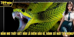 Nằm mơ thấy giết rắn