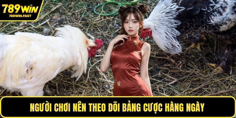 Người chơi nên theo dõi bảng cược hàng ngày