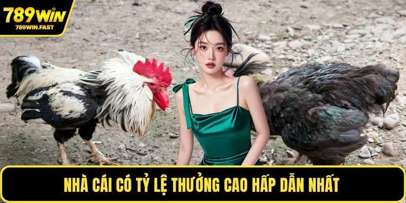 Nhà cái có tỷ lệ thưởng cao hấp dẫn nhất