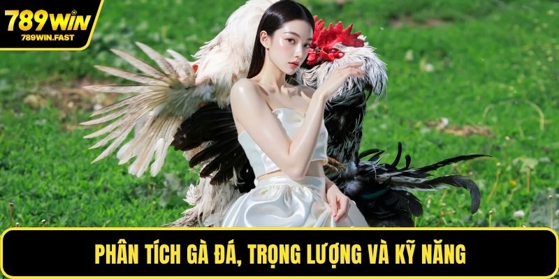 Phân tích gà đá, trọng lượng và kỹ năng