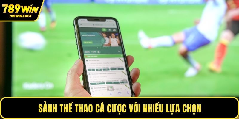 Giới Thiệu 789WIN - Trải Nghiệm Cược Trực Tuyến Uy Tín 2 Sảnh thể thao cá cược với nhiều lựa chọn