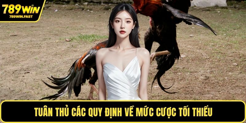 Tuân thủ các quy định về mức cược tối thiểu